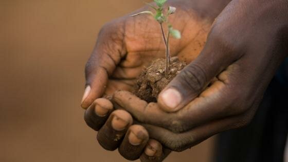 Photo: © European Union